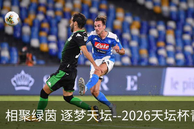 相聚绿茵 逐梦天坛--2026天坛杯青少年足球交流火热开启